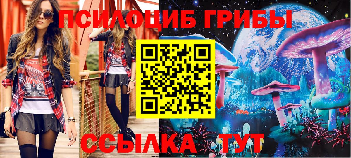 Галлюциногенные грибы мухоморы  Галлюциногенные грибы мицелий  Избербаш  Вход с VPN 